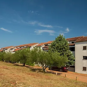 ellenőrizze a rendelkezésre állást